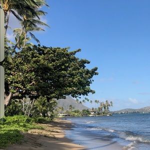 Meet your Posher, Kiley